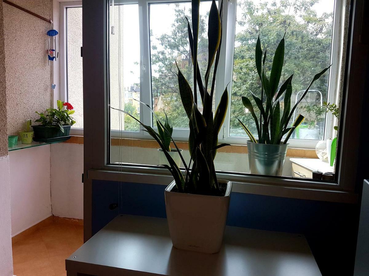 סופיה Blue Room מראה חיצוני תמונה